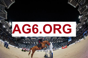 2026鹈鹕vs国王NBA常规赛全场比赛录像回放3月6日